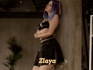 Zlaya