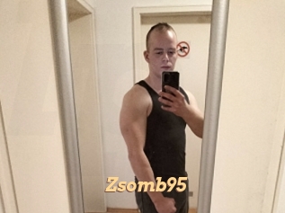 Zsomb95
